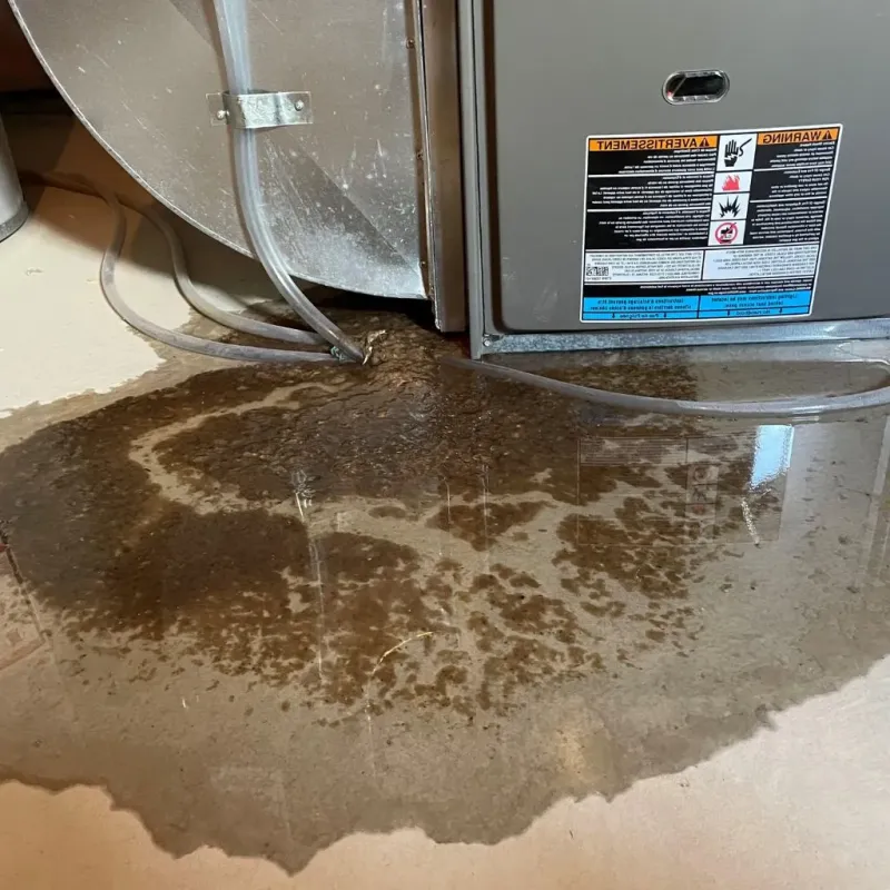 Pipe Burst and Leak Restoration in Hollidaysburg, PA